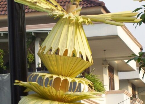 Membuat tempe dan menjanur